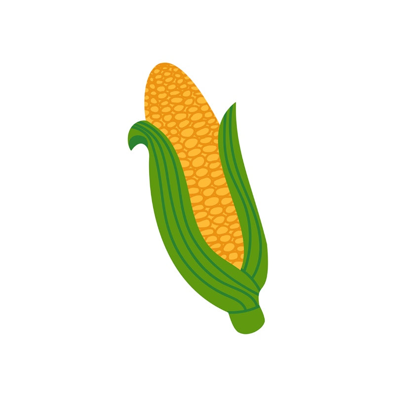 Sweet Corn Innovative Quick Dry Bath Mat