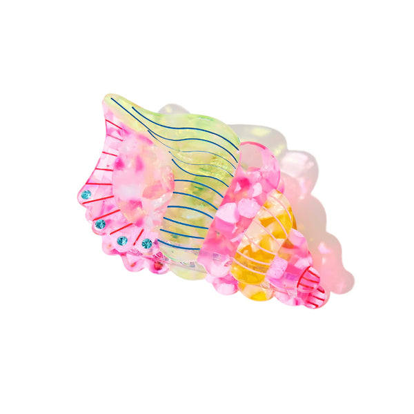 Colorful Conch Claw
