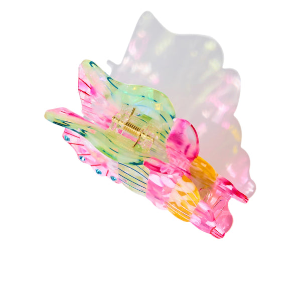 Colorful Conch Claw