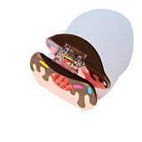 Strawberry & Chocolate Donut Hair Claw