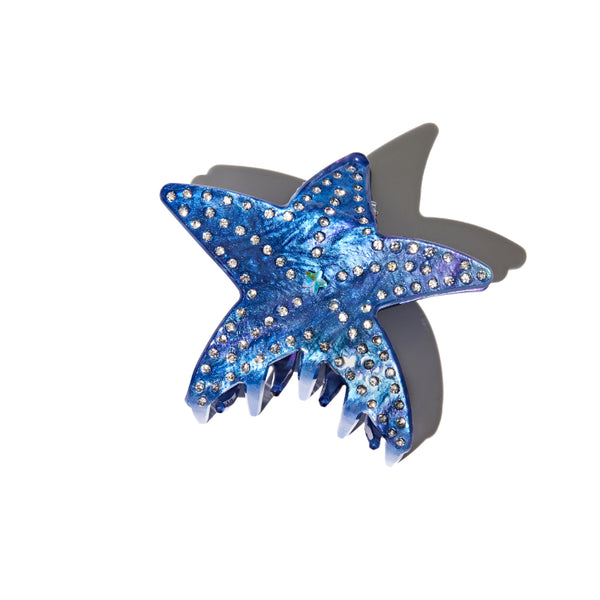 Starfish Claw in Ocean