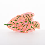Leaves Claw in Pink